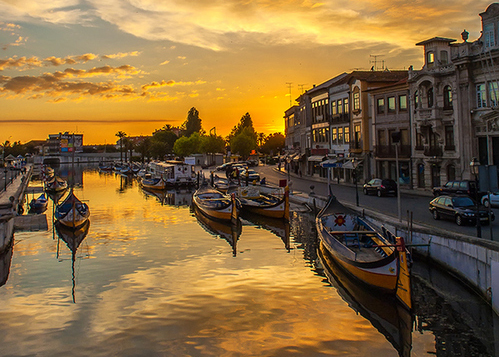 Visita de estudo a Aveiro